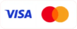 logo visa